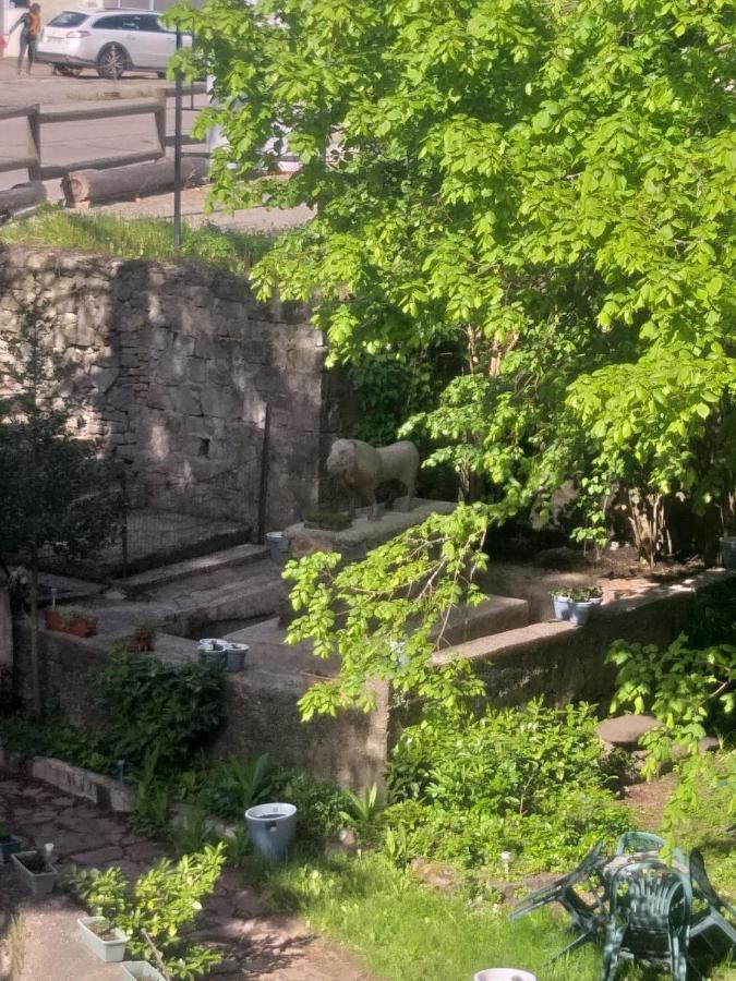 Résidence SoAnSa du Gérardmer - Col de la Schlucht Soultzeren Exterior foto