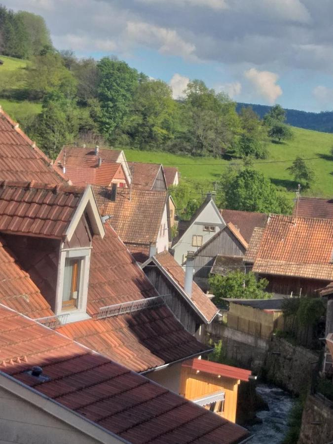 Résidence SoAnSa du Gérardmer - Col de la Schlucht Soultzeren Exterior foto