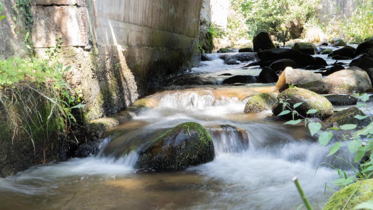 Résidence SoAnSa du Gérardmer - Col de la Schlucht Soultzeren Exterior foto