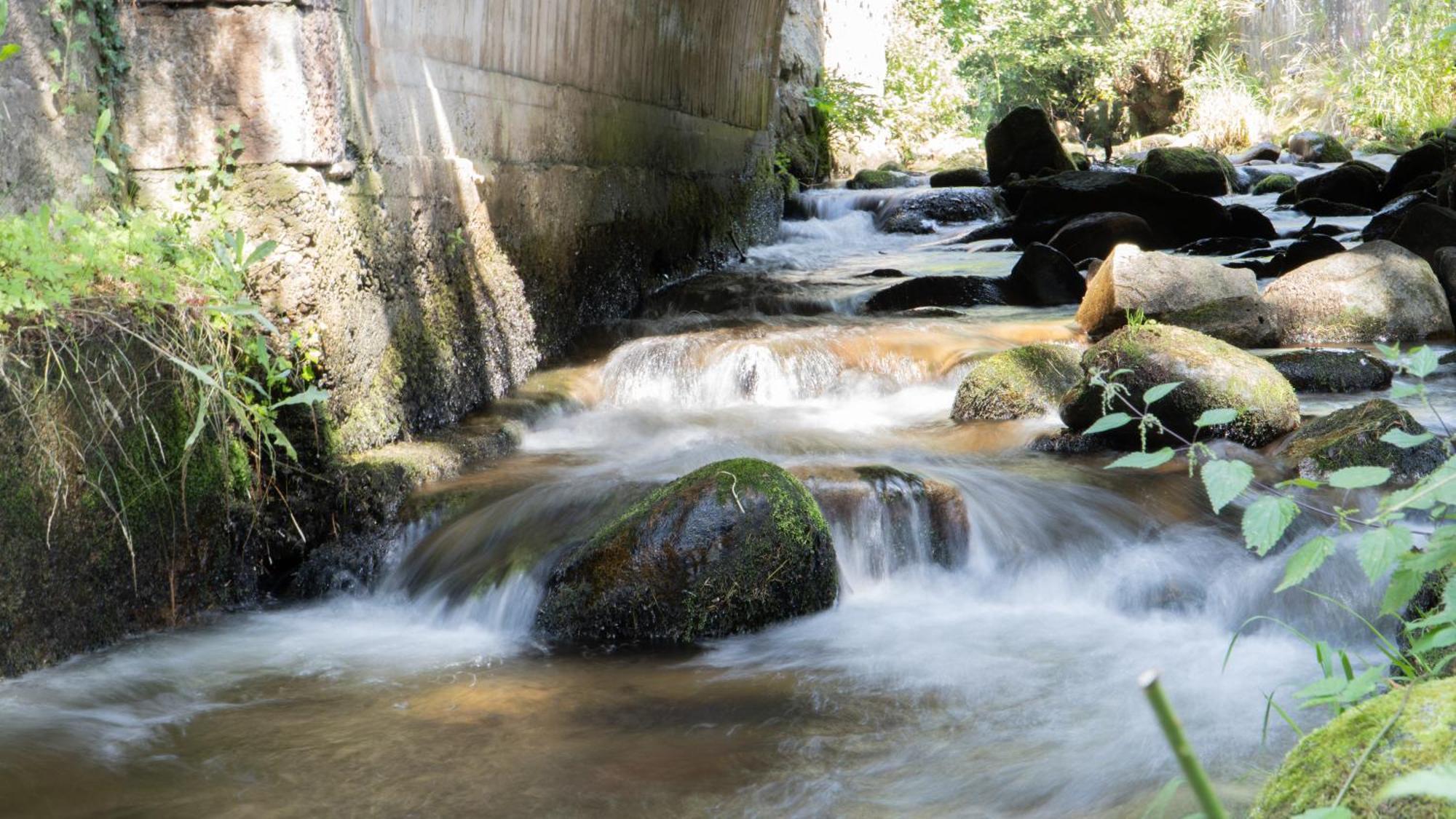 Résidence SoAnSa du Gérardmer - Col de la Schlucht Soultzeren Exterior foto